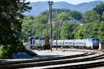 CSX and the Cardinal